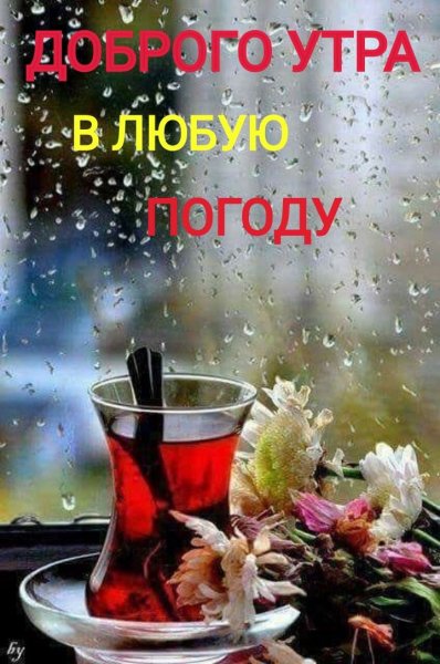 Доброе дождлтвого утро