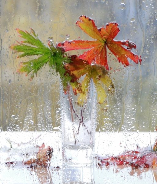 Хорошего настроения в дождливую погоду