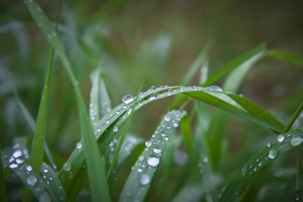 После дождя картинки