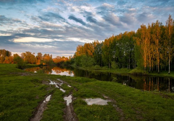 Летом после дождя