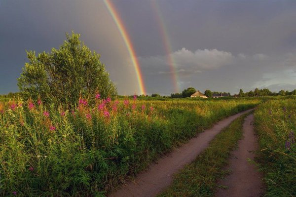 Радуга в поле