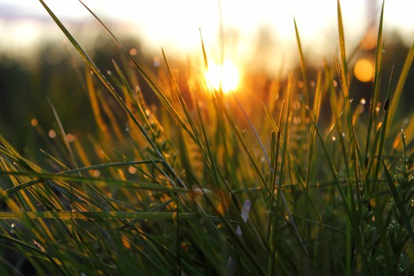 Дождик и солнце