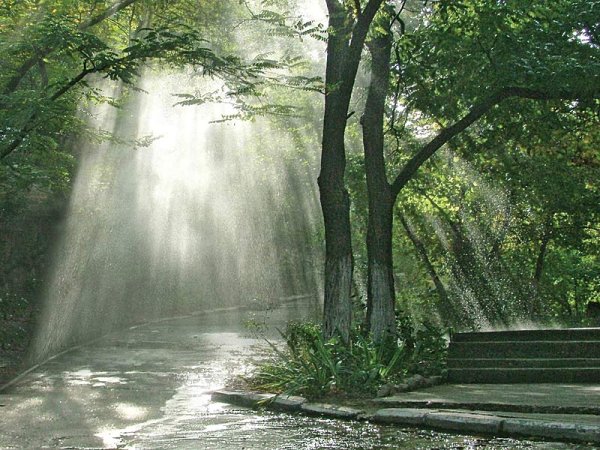 Солнечный дождь