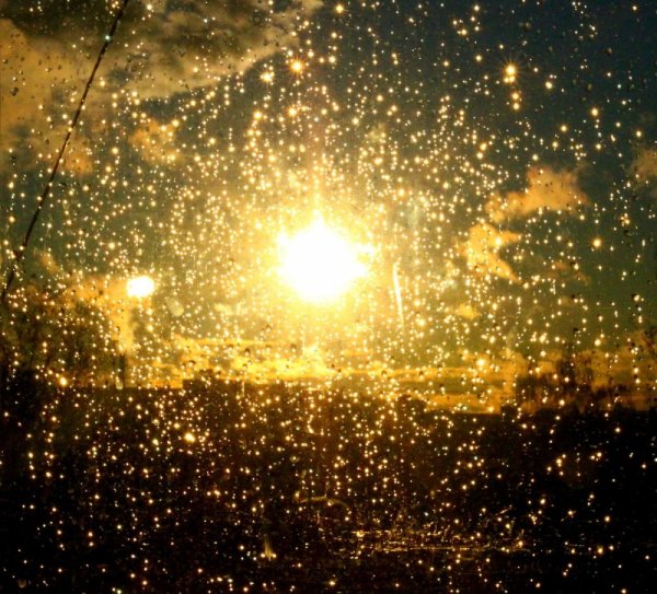 Солнечный дождь