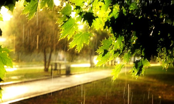 Солнце после дождя