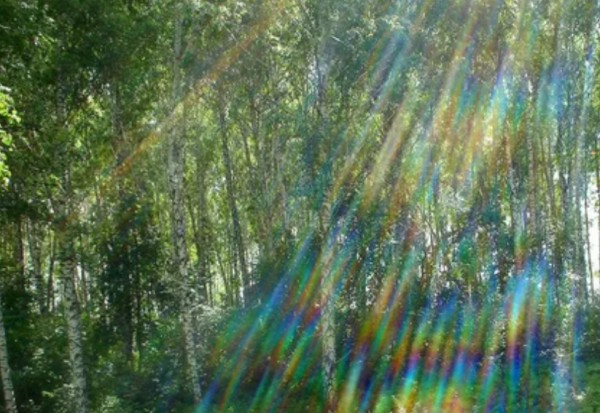 Дождь для радуги