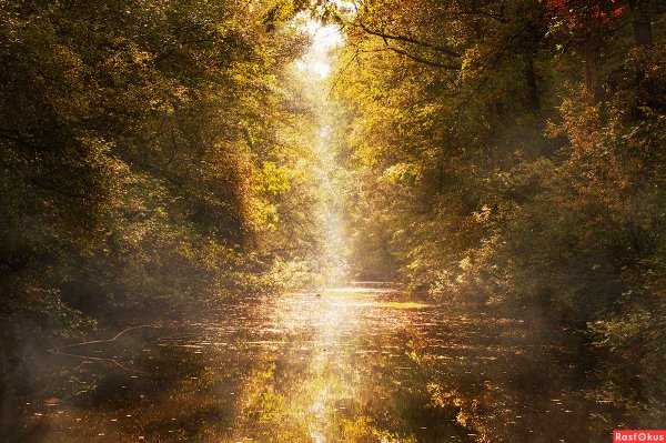 Солнце после дождя