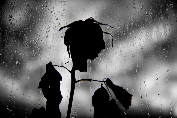 Дождь одиночество