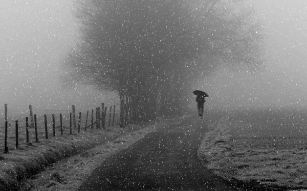 Осень грусть