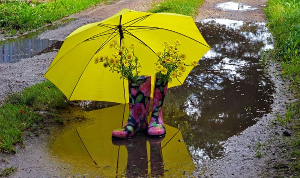 Резиновые сапоги и зонт