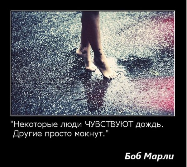 Высказывания про дождь