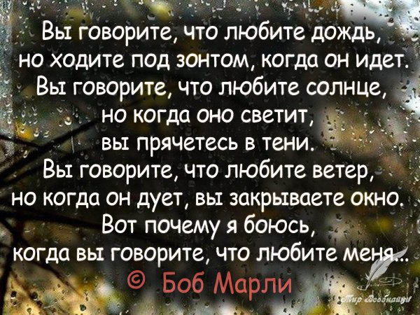 Фразы о Дожде красивые