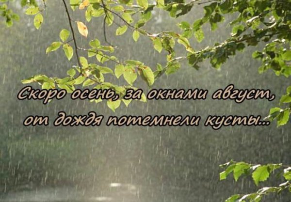 Скоро осень за окнами август от дождя