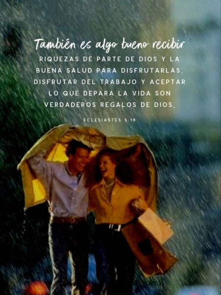 Укрыться от дождя