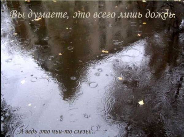 Дождь и слезы