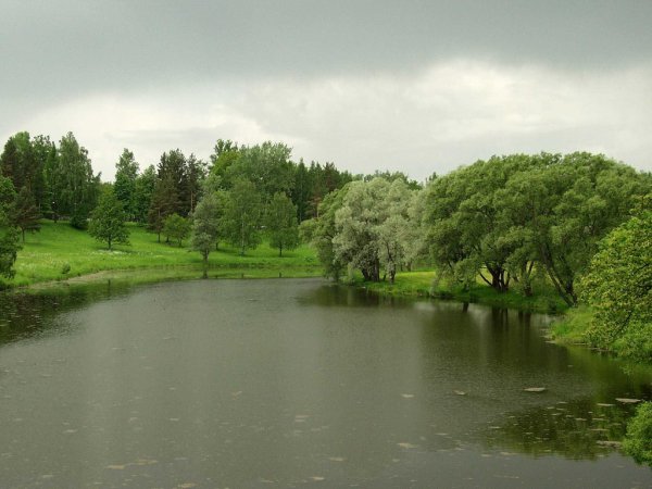 Дождь на реке