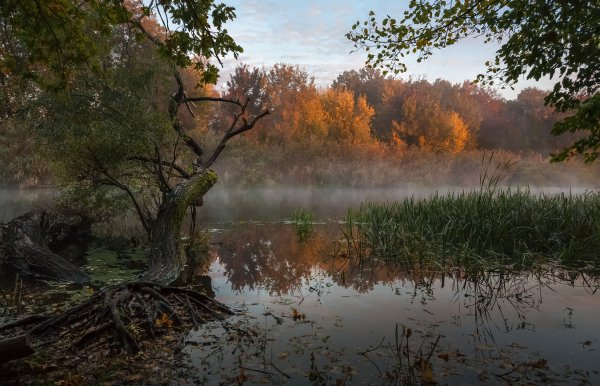 Осеннее утро на реке