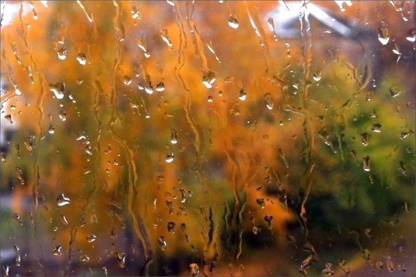 Дождинки на стекле