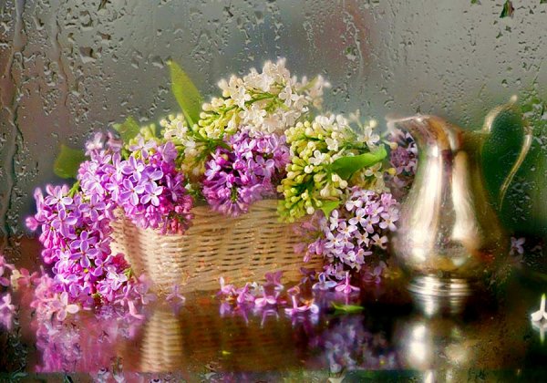 Букет сирени дождь