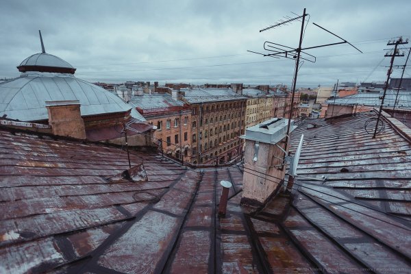Крыши Василеостровского района