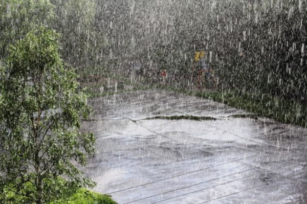 Сильный дождь