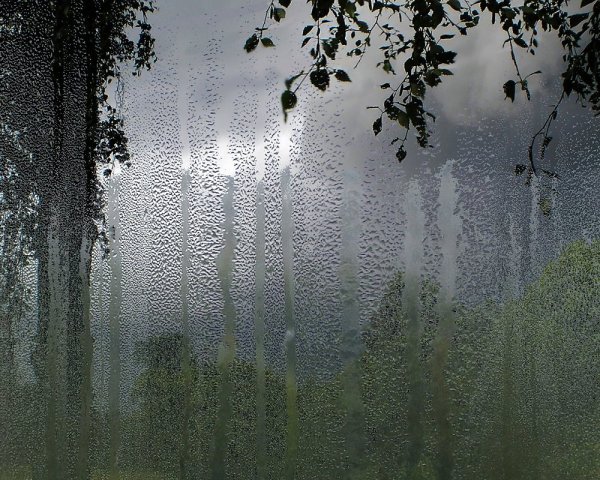 Ливень за окном