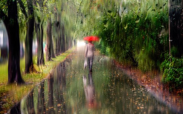 Осень дождь