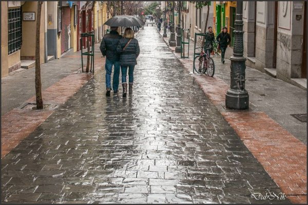 Дождливая улица