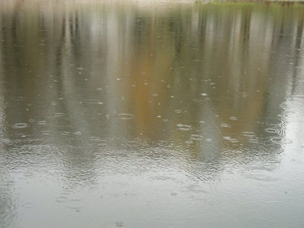 Изморось это мелкий дождь