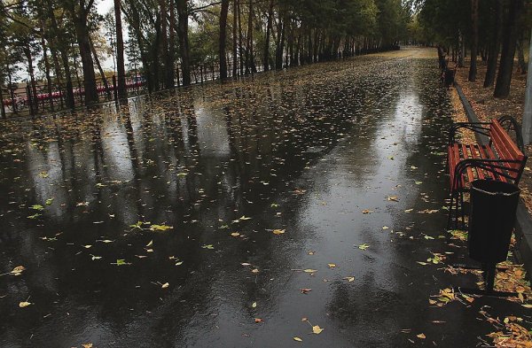 Моросящий дождь