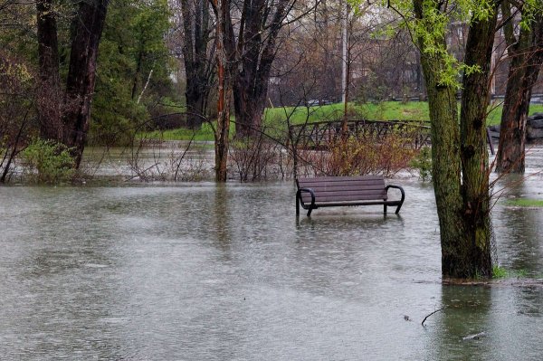 Моросящий дождь