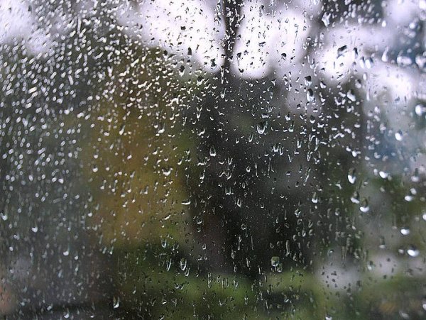 Мелкий дождь