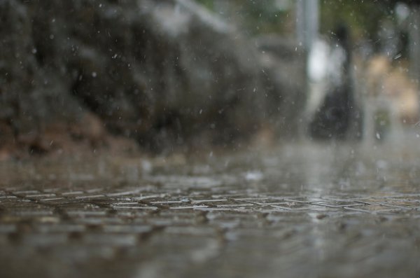 Мелкий дождь