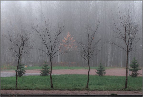 Моросящий дождь