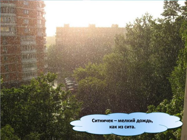 Ливень косохлест ситничек