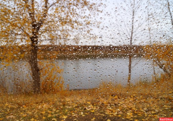 Поздняя дождливая осень