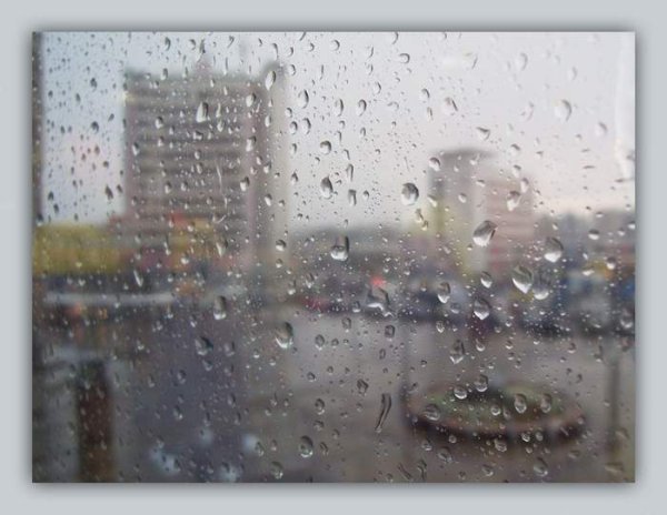 Дождик достал