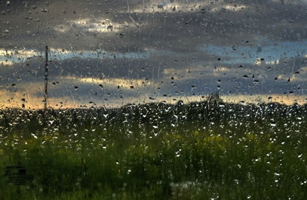 Дождь пасмурно