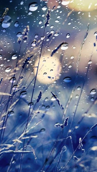 Дождь вертикально