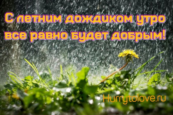 Доброе летнее дождливое утро с надписями