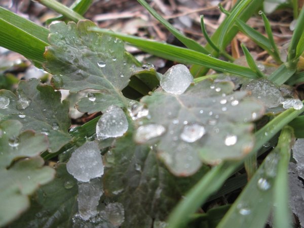 Град осадки