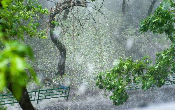 Сильный ветер и дождь