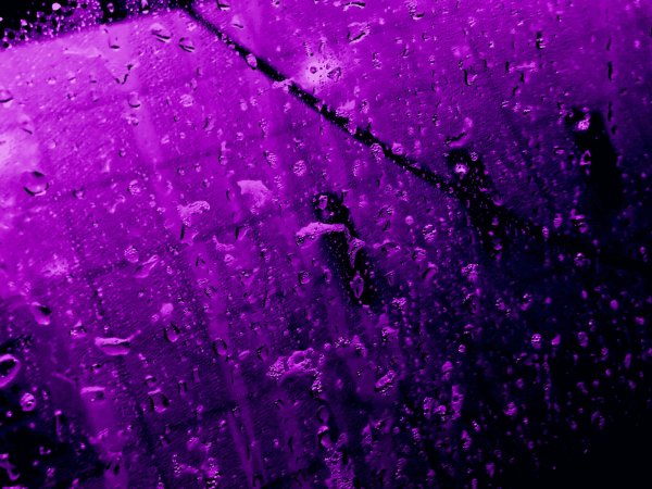 Фиолетовый экран