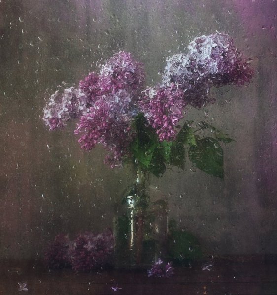 Сирень дождь