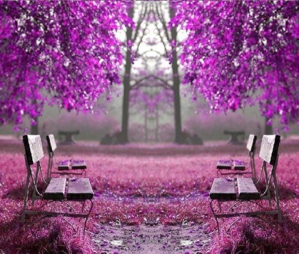 Сиреневый мир и ступеньки