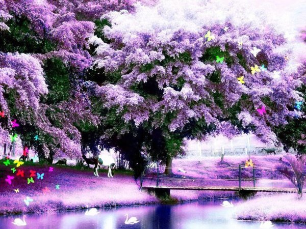 Сиреневый сад расцвела сирень?