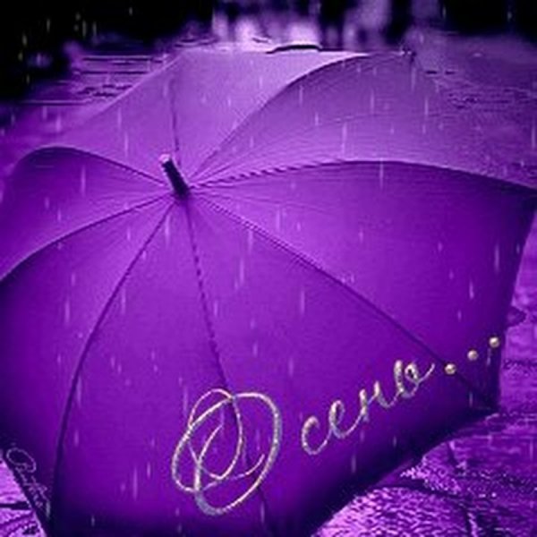 Фиолетовый зонт осенью