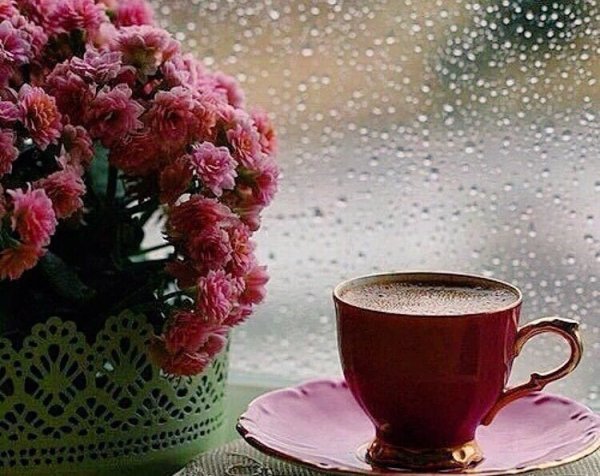 Доброе утро цветы кофе дождь