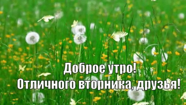 С добрым летним утром вторника