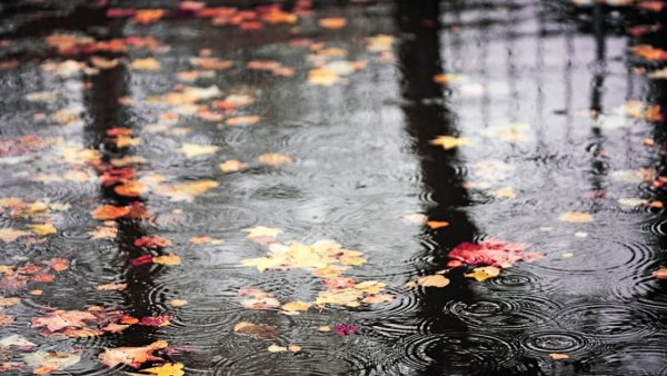 Мелкий осенний дождь